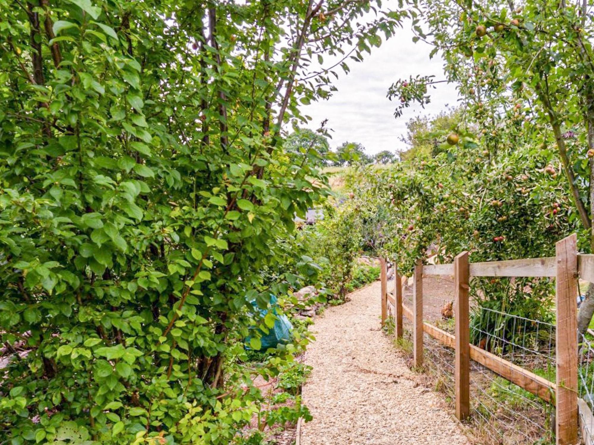 Fig Tree Shepherds Hut Bridport Buitenkant foto