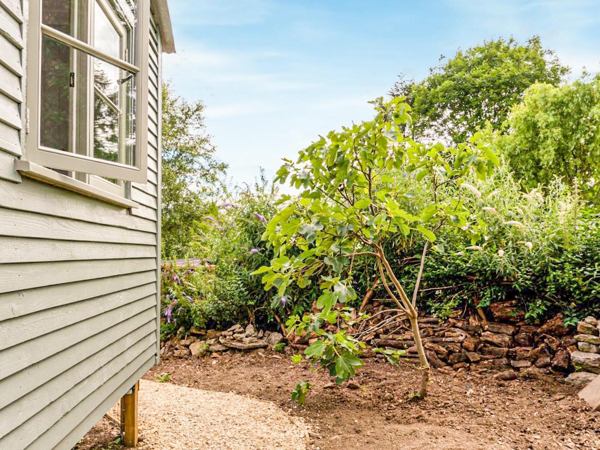 Fig Tree Shepherds Hut Bridport Buitenkant foto